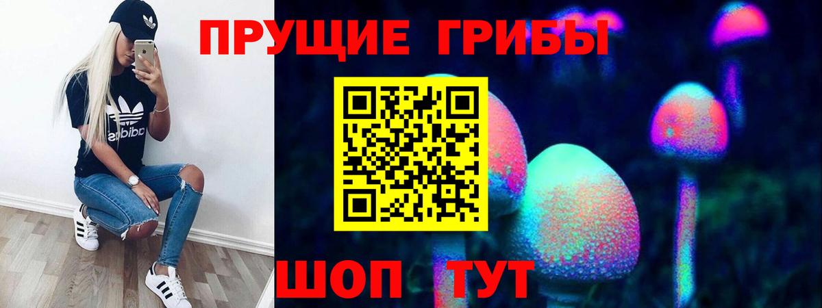 Галлюциногенные грибы Psilocybine cubensis  Псилоцибиновые грибы Psilocybine cubensis  Вход с VPN  Краснодар 